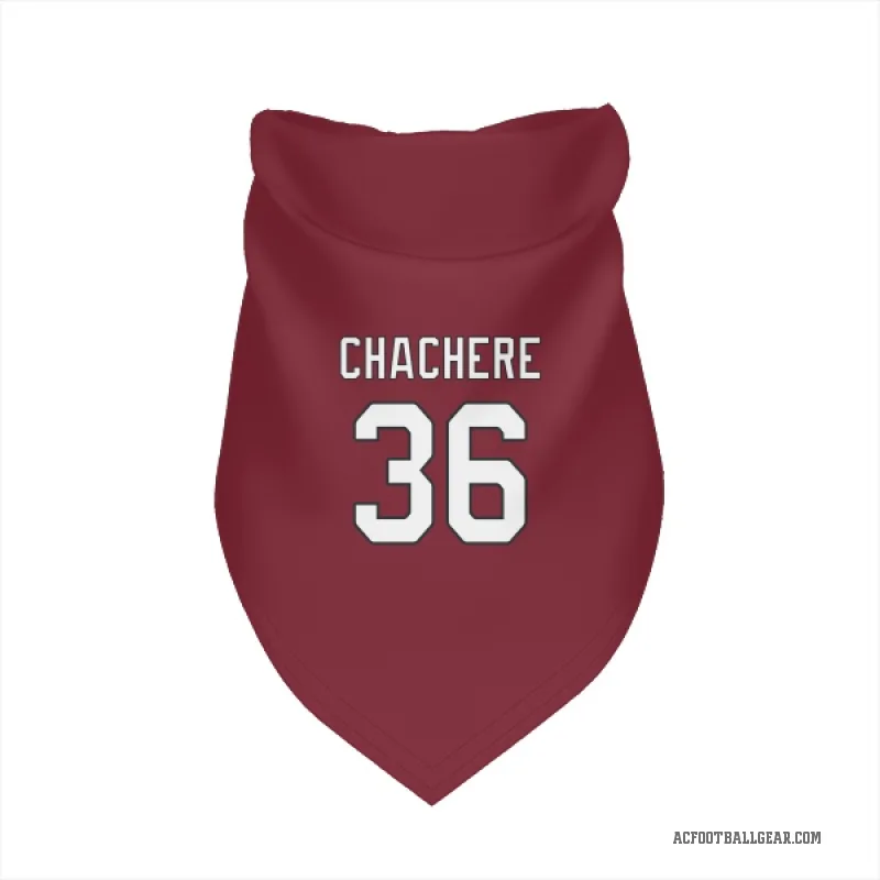 Andre Chachere  Arizona Cardinals   Cardinal Cat & Dog Pet Bandana