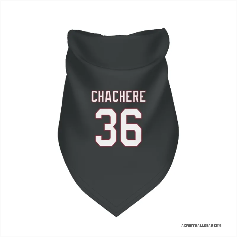 Andre Chachere  Black Arizona Cardinals  Cat & Dog Pet Bandana