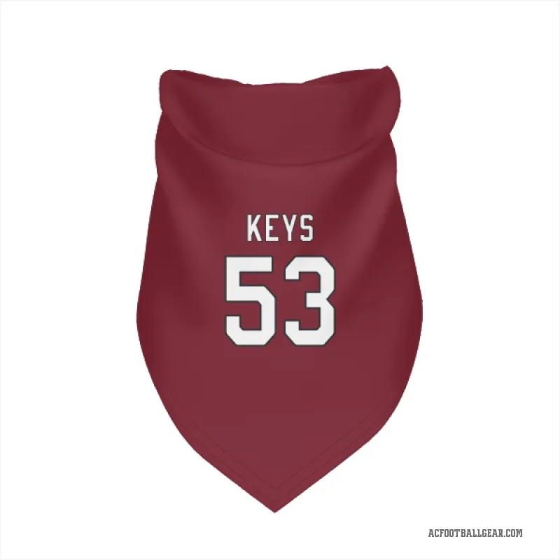 Austin Keys  Arizona Cardinals   Cardinal Cat & Dog Pet Bandana