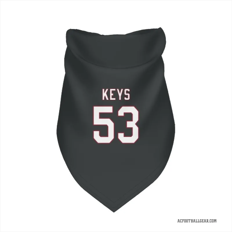 Austin Keys  Black Arizona Cardinals  Cat & Dog Pet Bandana