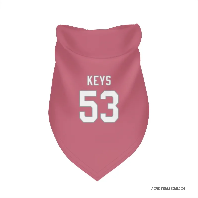 Austin Keys  Pink Arizona Cardinals  Cat & Dog Pet Bandana