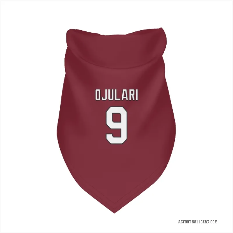 BJ Ojulari  Arizona Cardinals   Cardinal Cat & Dog Pet Bandana