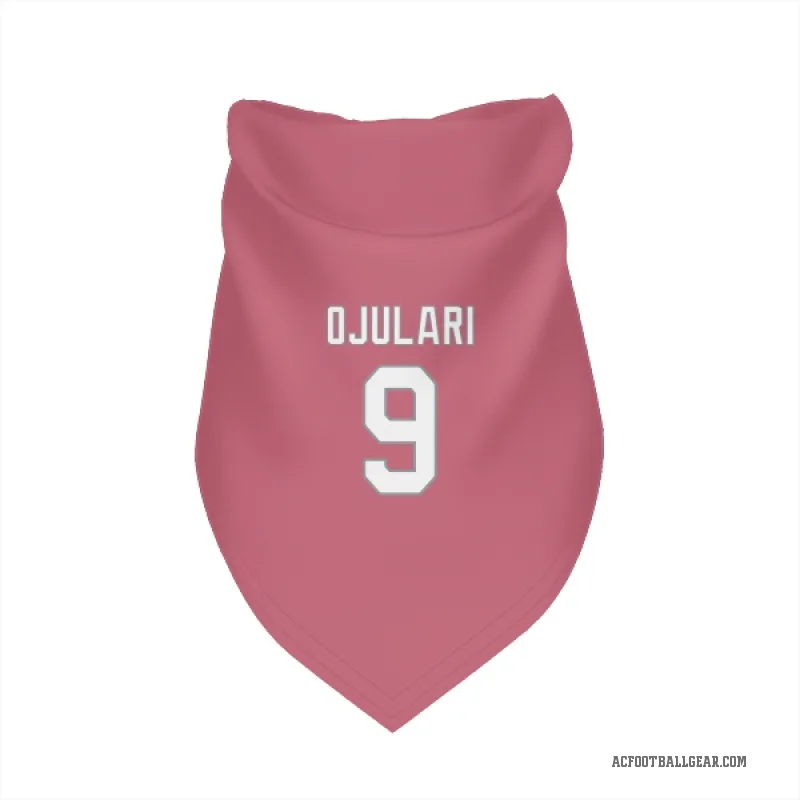 BJ Ojulari  Pink Arizona Cardinals  Cat & Dog Pet Bandana