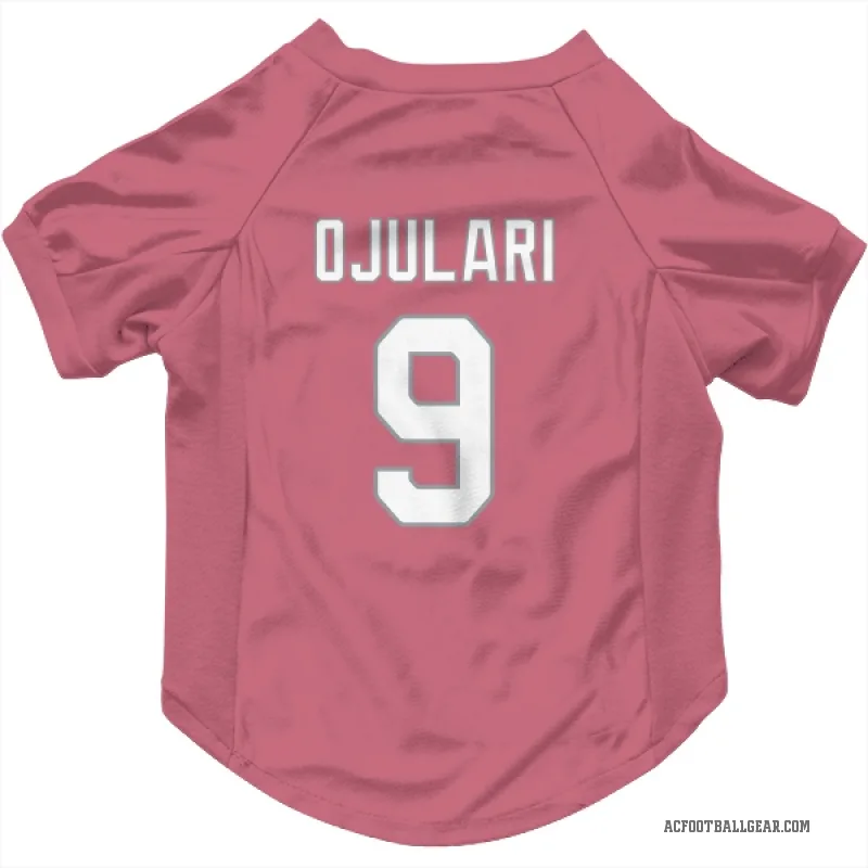 BJ Ojulari  Pink Arizona Cardinals  Cat & Dog Pet Jersey