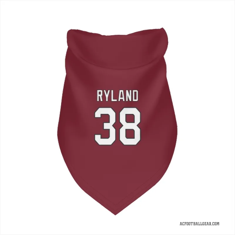 Chad Ryland  Arizona Cardinals   Cardinal Cat & Dog Pet Bandana