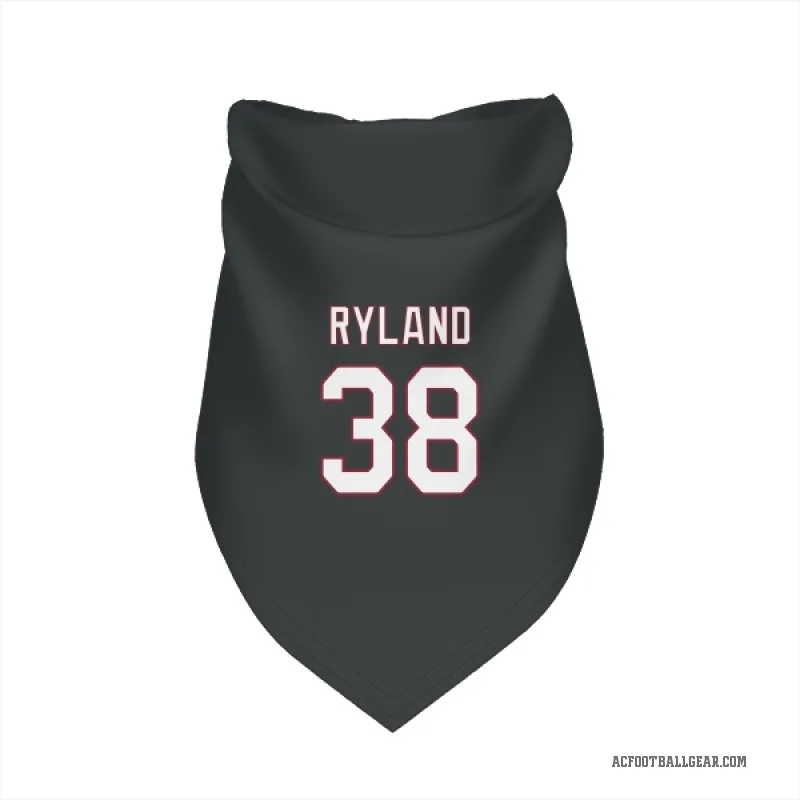 Chad Ryland  Black Arizona Cardinals  Cat & Dog Pet Bandana