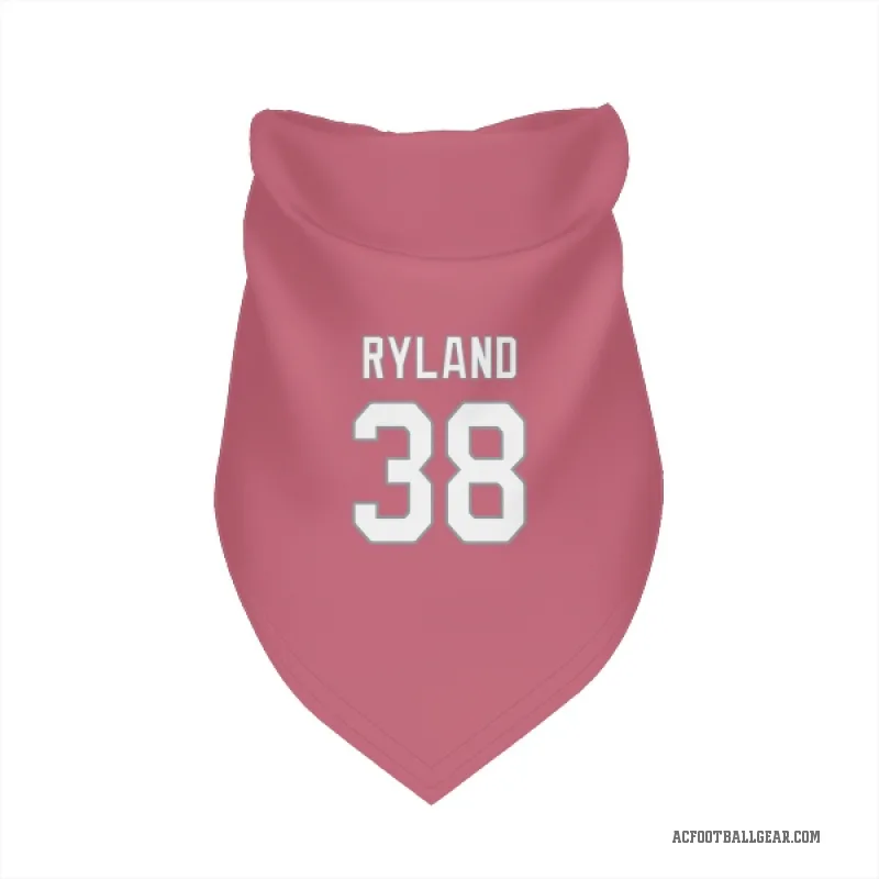 Chad Ryland  Pink Arizona Cardinals  Cat & Dog Pet Bandana