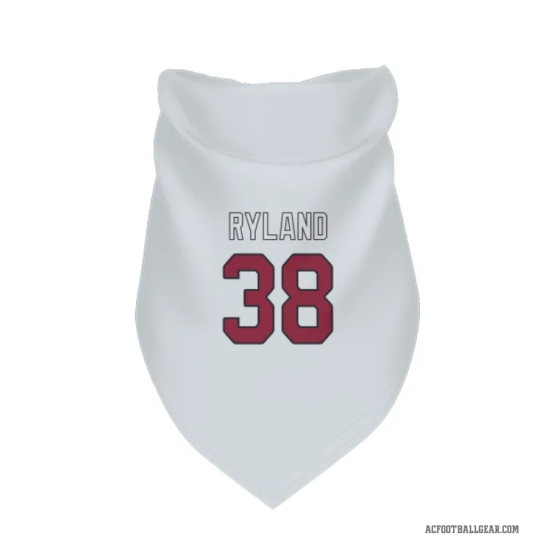 Chad Ryland  White Arizona Cardinals  Cat & Dog Pet Bandana