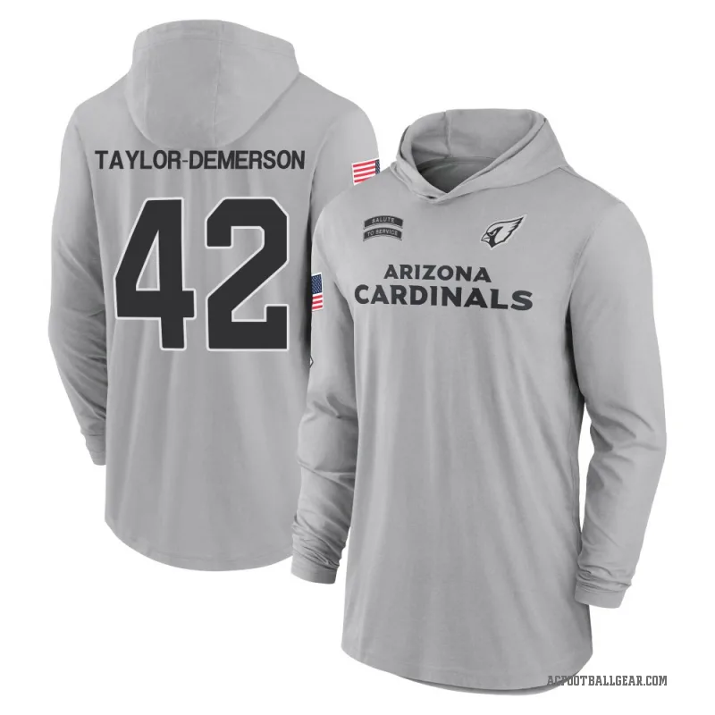 Dadrion Taylor-Demerson Men's Gray Arizona Cardinals 2024 Salute to Service Lightweight Performance Long Sleeve Hooded T-Shirt