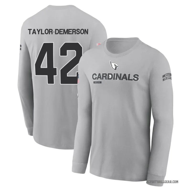Dadrion Taylor-Demerson Men's Gray Arizona Cardinals 2024 Salute to Service Long Sleeve T-Shirt