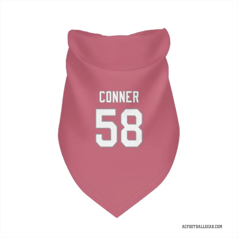 Hayden Conner  Pink Arizona Cardinals  Cat & Dog Pet Bandana