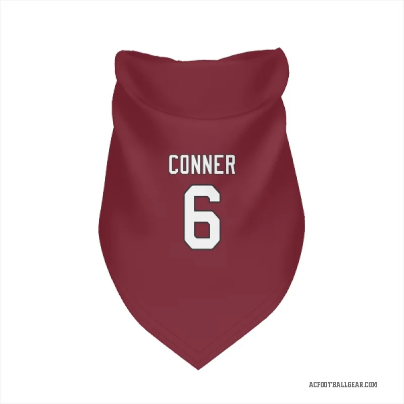 James Conner  Arizona Cardinals   Cardinal Cat & Dog Pet Bandana