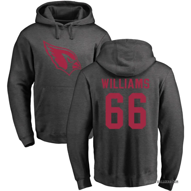 Jayden Williams Youth Arizona Cardinals Pro Line by Branded Ash One Color Pullover Hoodie