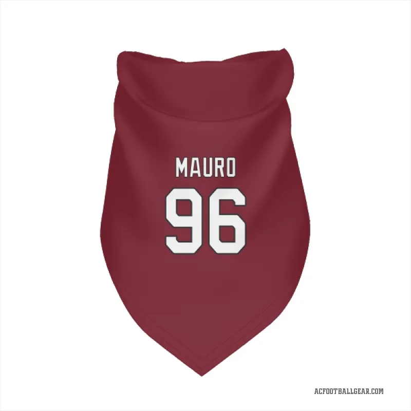 Josh Mauro  Arizona Cardinals   Cardinal Cat & Dog Pet Bandana