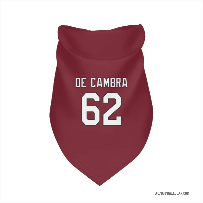 Ka'ena De Cambra  Arizona Cardinals   Cardinal Cat & Dog Pet Bandana