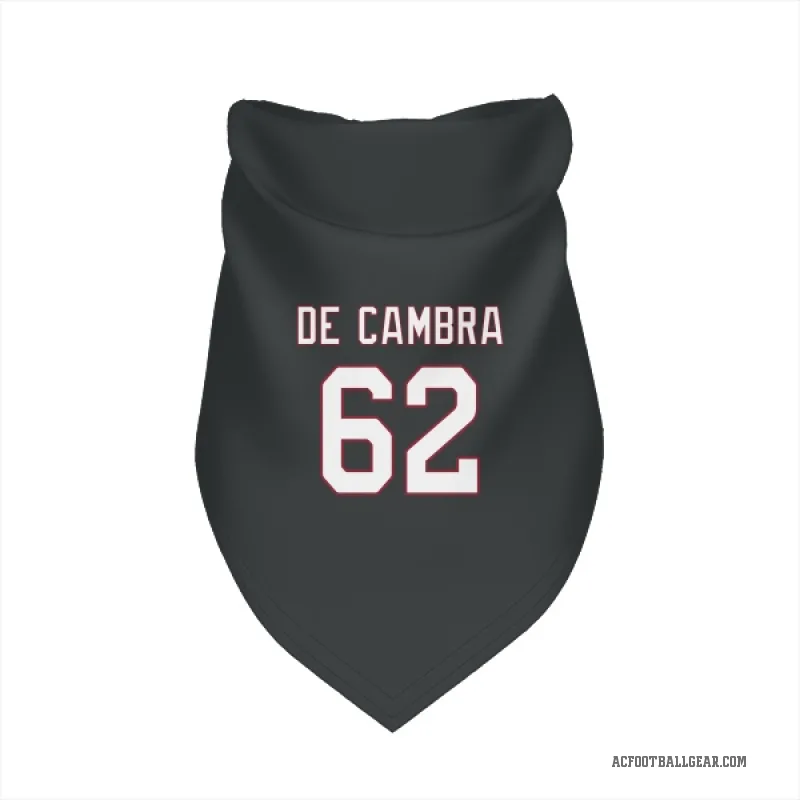 Ka'ena De Cambra  Black Arizona Cardinals  Cat & Dog Pet Bandana