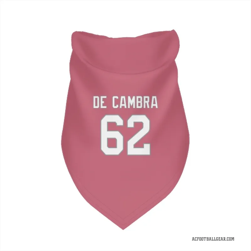 Ka'ena De Cambra  Pink Arizona Cardinals  Cat & Dog Pet Bandana