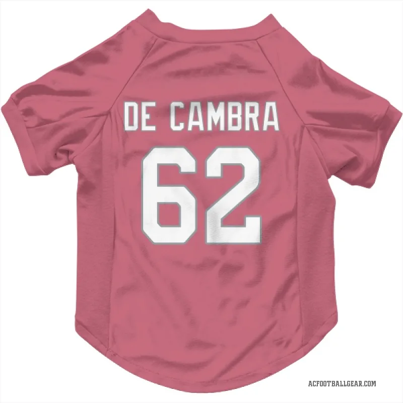 Ka'ena De Cambra  Pink Arizona Cardinals  Cat & Dog Pet Jersey