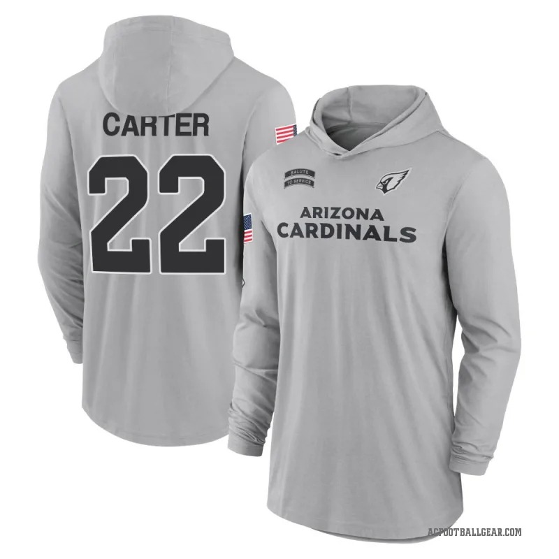 Michael Carter Men's Gray Arizona Cardinals 2024 Salute to Service Lightweight Performance Long Sleeve Hooded T-Shirt