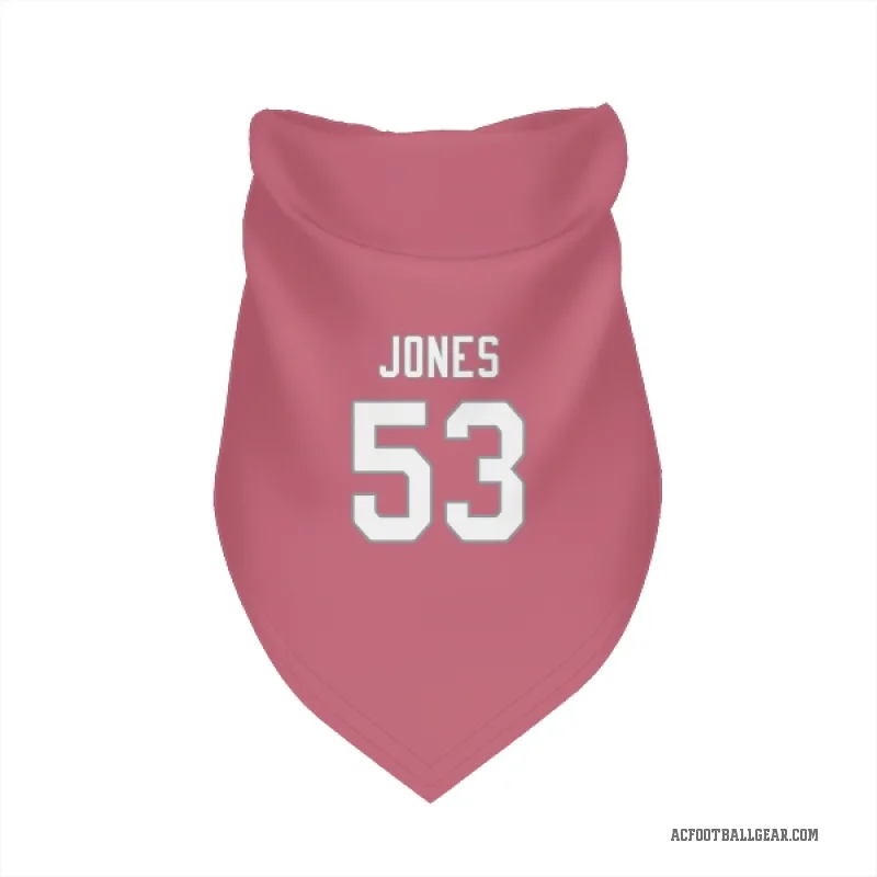 Vi Jones  Pink Arizona Cardinals  Cat & Dog Pet Bandana