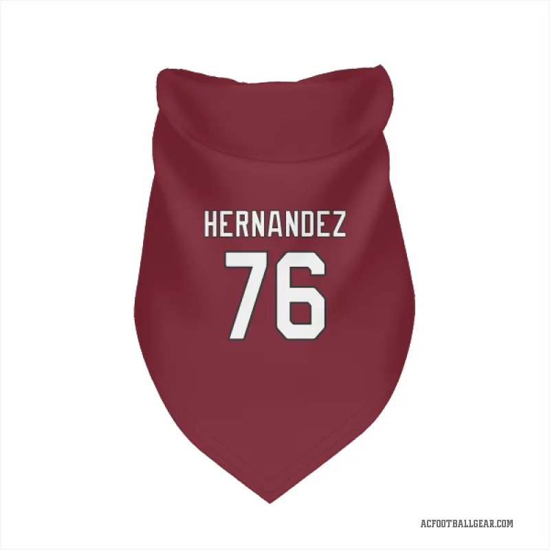 Will Hernandez  Arizona Cardinals   Cardinal Cat & Dog Pet Bandana