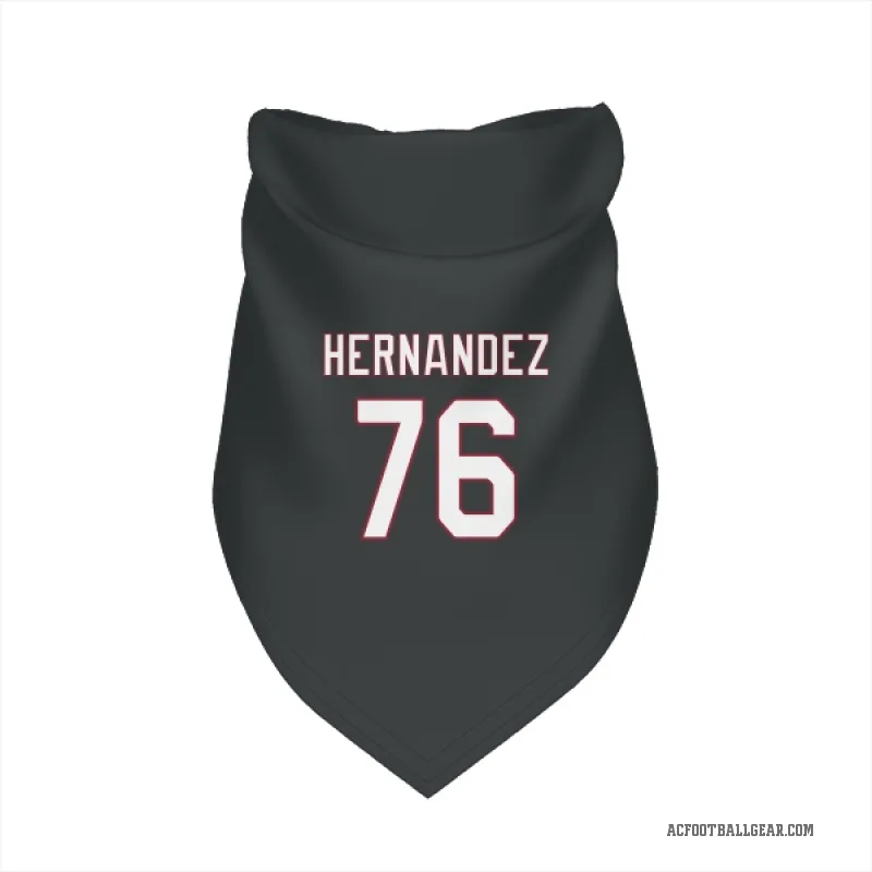Will Hernandez  Black Arizona Cardinals  Cat & Dog Pet Bandana
